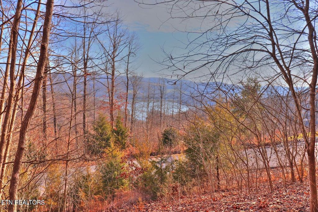 Photo of 440 Feldspar Rd, New Tazewell, TN 37825 (MLS # 1303742)