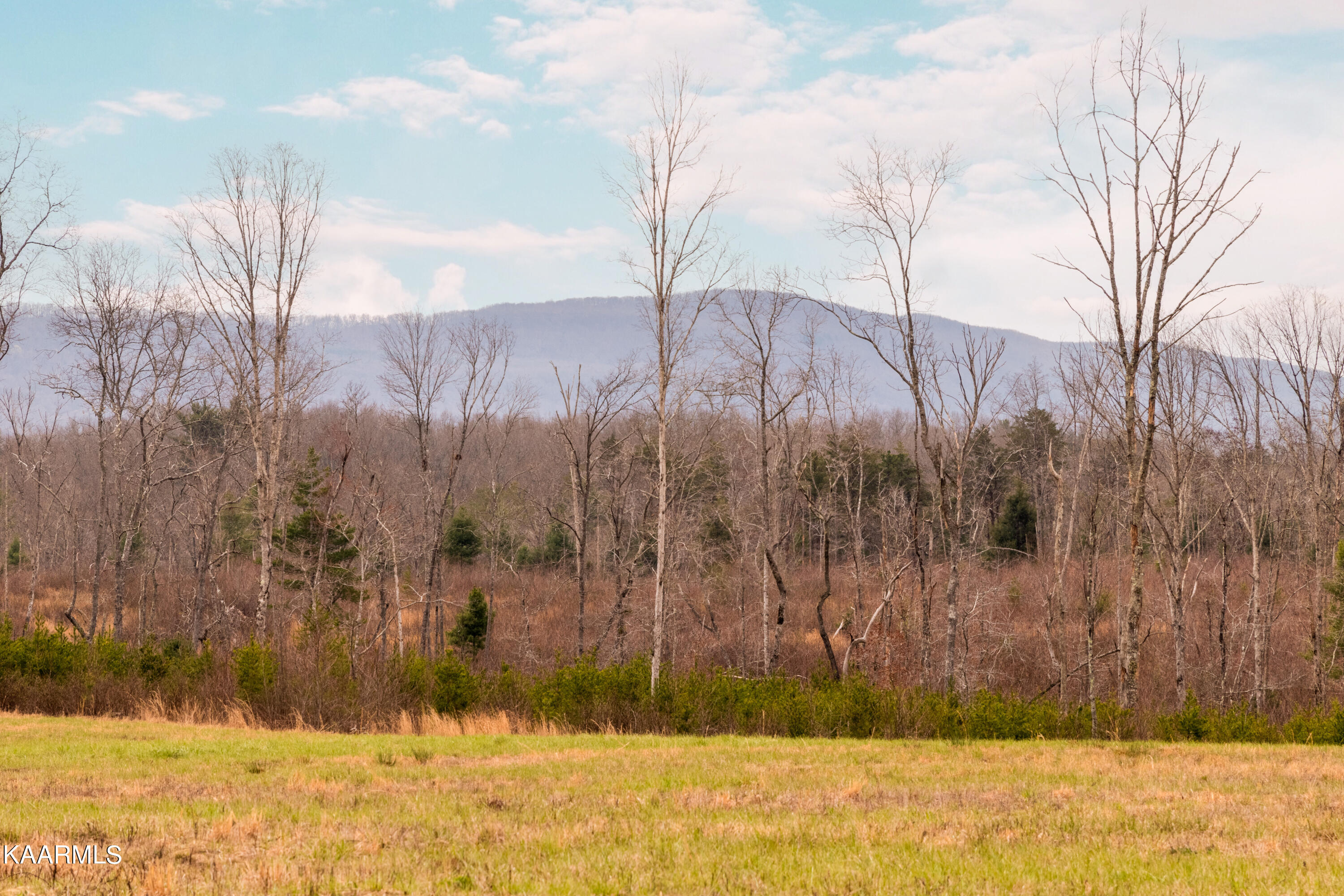 Photo 8 of 20 of York Rd land