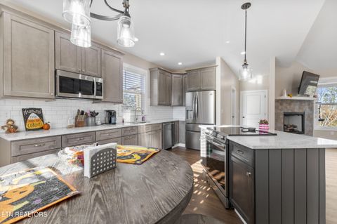 Tiny photo for 2095 Ivy Way, Newport, TN 37821 (MLS # 1327209)