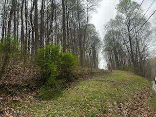 Photo 1 of 9 — 197 County Rd, Athens, TN 37303