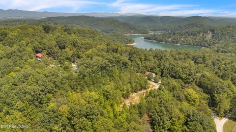 Shady Cove Rd Caryville TN 37714