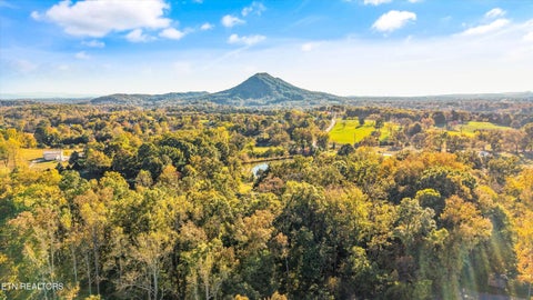 Tiny photo for 10340 Washington Pike, Corryton, TN 37721 (MLS # 1360482)
