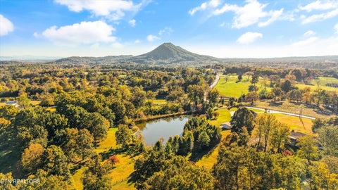 Tiny photo for 10340 Washington Pike, Corryton, TN 37721 (MLS # 1360482)