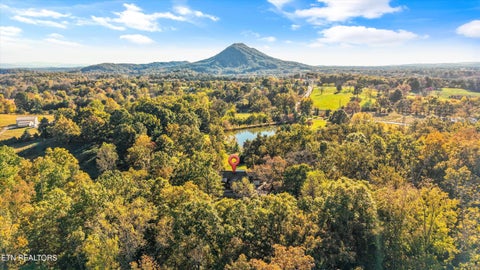 Tiny photo for 10340 Washington Pike, Corryton, TN 37721 (MLS # 1360482)