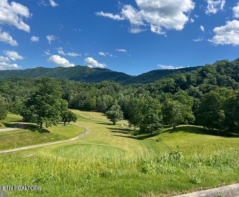 Tiny photo for 405 Laurel Trace Rd, Townsend, TN 37882 (MLS # 1323141)