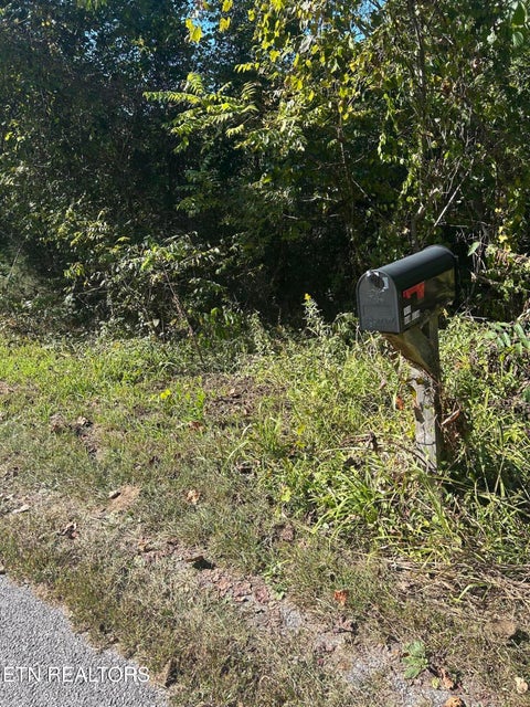 Tiny photo for Hershel Powers (off Dan Bean) Lane, Speedwell, TN 37870 (MLS # 1359626)