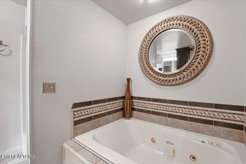 Tiny photo for 700 Shanghai Landing Lane #11, LaFollette, TN 37766 (MLS # 1332749)