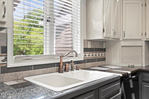 Tiny photo for 700 Shanghai Landing Lane #11, LaFollette, TN 37766 (MLS # 1332749)