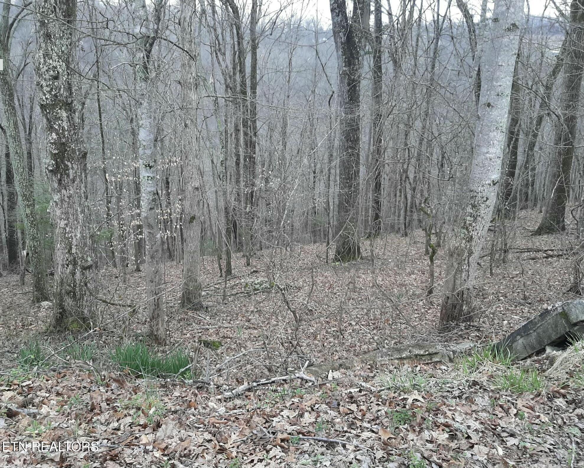 Lake Hollow Lane