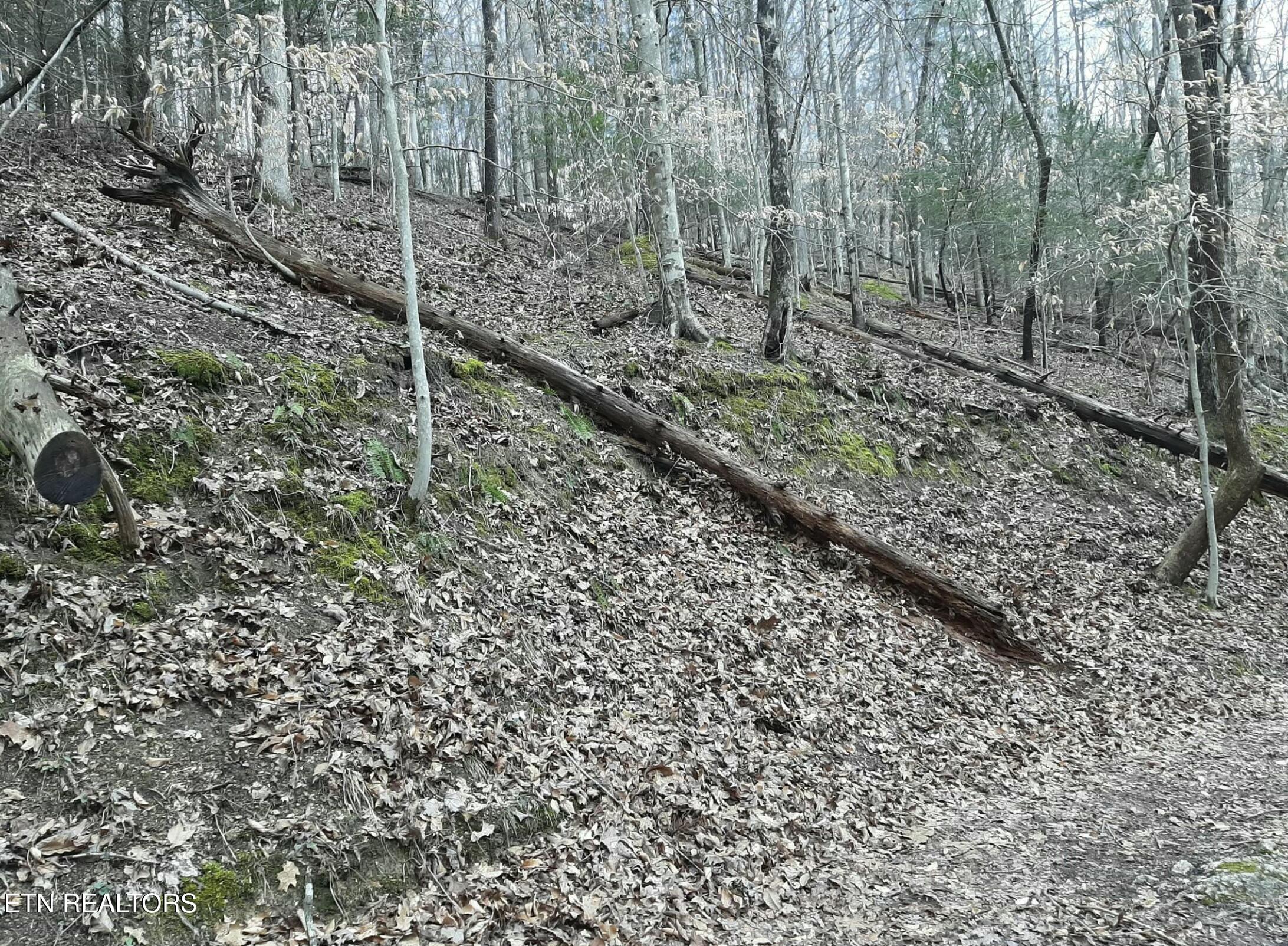 Lake Hollow Lane