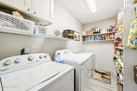 Tiny photo for 1426 Reed Bull Rd, New Market, TN 37820 (MLS # 1329380)