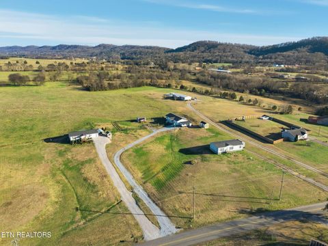 Tiny photo for 1426 Reed Bull Rd, New Market, TN 37820 (MLS # 1329380)