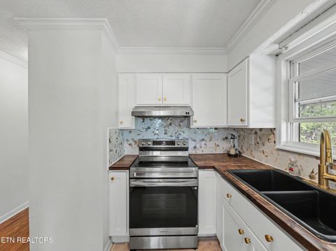 Tiny photo for 138 S Gaylor Rd, LaFollette, TN 37766 (MLS # 1334543)