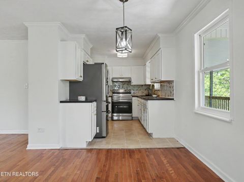 Tiny photo for 138 S Gaylor Rd, LaFollette, TN 37766 (MLS # 1334543)