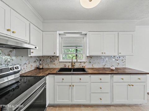 Tiny photo for 138 S Gaylor Rd, LaFollette, TN 37766 (MLS # 1334543)