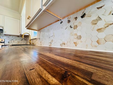 Tiny photo for 138 S Gaylor Rd, LaFollette, TN 37766 (MLS # 1334543)