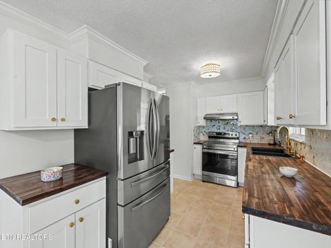 Tiny photo for 138 S Gaylor Rd, LaFollette, TN 37766 (MLS # 1334543)