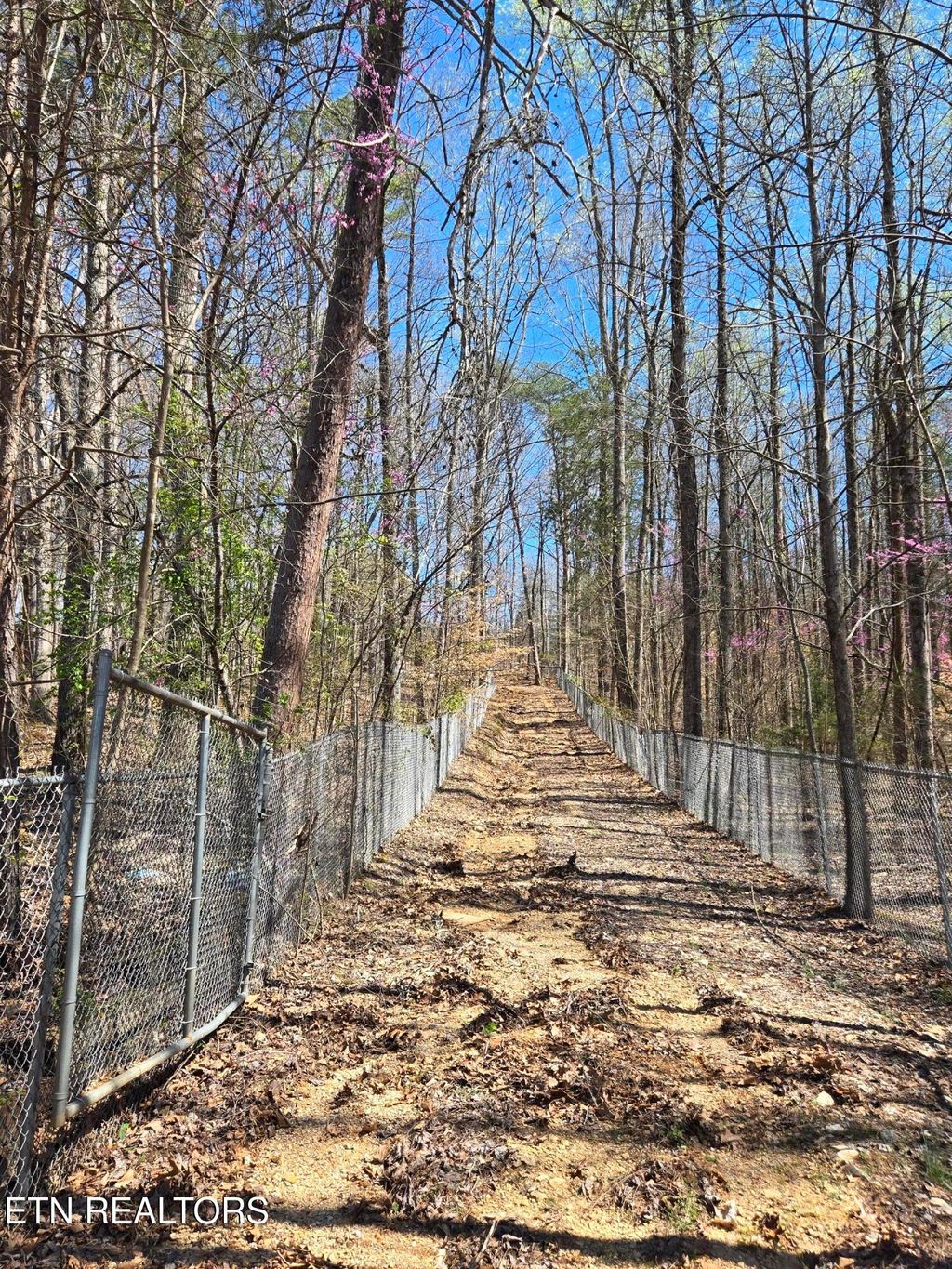 Photo of 2405 River Rd, Kingston, TN 37763 (MLS # 1294747)