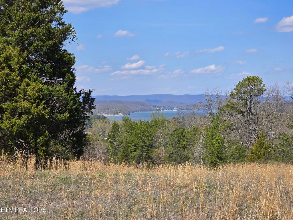 Photo of 2405 River Rd, Kingston, TN 37763 (MLS # 1294747)