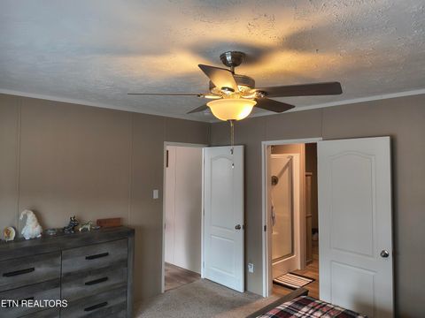 Tiny photo for 315 Key Lane, Pioneer, TN 37847 (MLS # 1329901)