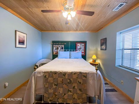 Tiny photo for 249 Timber Creek Rd, New Tazewell, TN 37825 (MLS # 1324929)