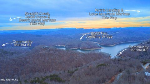 Tiny photo for 249 Timber Creek Rd, New Tazewell, TN 37825 (MLS # 1324929)