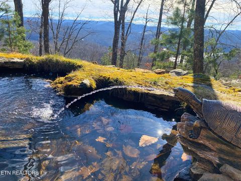 Tiny photo for 249 Timber Creek Rd, New Tazewell, TN 37825 (MLS # 1324929)