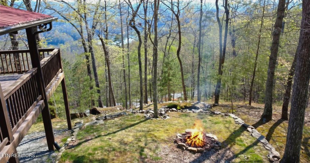 Photo of 249 Timber Creek Rd, New Tazewell, TN 37825 (MLS # 1324929)