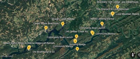 Tiny photo for 249 Timber Creek Rd, New Tazewell, TN 37825 (MLS # 1324929)