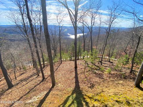 Tiny photo for 249 Timber Creek Rd, New Tazewell, TN 37825 (MLS # 1324929)