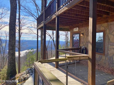 Tiny photo for 249 Timber Creek Rd, New Tazewell, TN 37825 (MLS # 1324929)