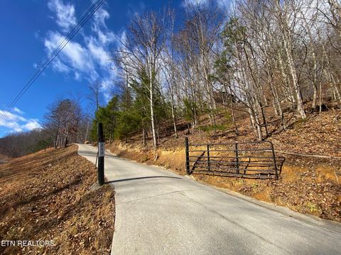 Tiny photo for 249 Timber Creek Rd, New Tazewell, TN 37825 (MLS # 1324929)