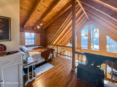 Tiny photo for 249 Timber Creek Rd, New Tazewell, TN 37825 (MLS # 1324929)