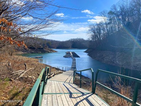 Tiny photo for 249 Timber Creek Rd, New Tazewell, TN 37825 (MLS # 1324929)