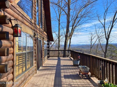 Tiny photo for 249 Timber Creek Rd, New Tazewell, TN 37825 (MLS # 1324929)