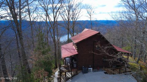 Tiny photo for 249 Timber Creek Rd, New Tazewell, TN 37825 (MLS # 1324929)