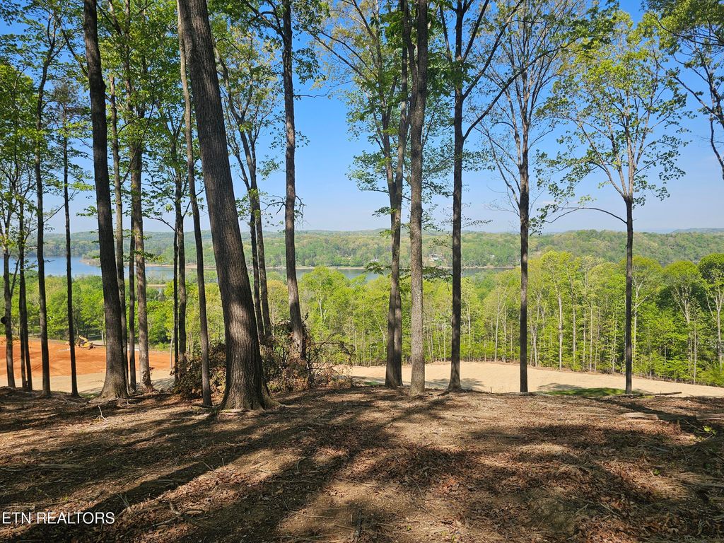 Photo of 132 Eagles Crest Court, Loudon, TN 37774 (MLS # 1338682)