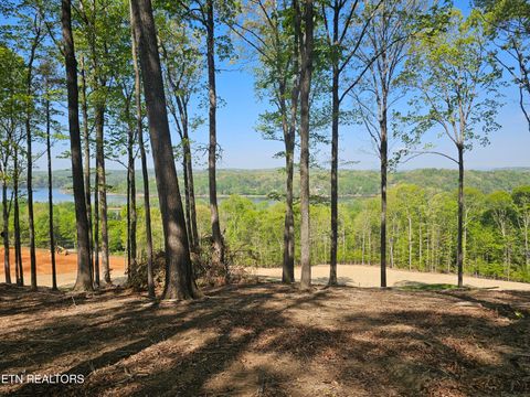 Photo of 132 Eagles Crest Court, Loudon, TN 37774 (MLS # 1338682)