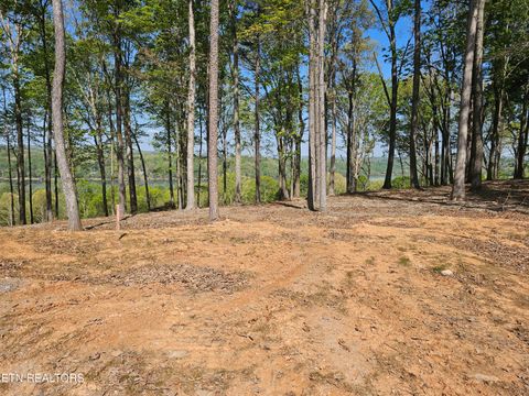 Tiny photo for 132 Eagles Crest Court, Loudon, TN 37774 (MLS # 1338682)