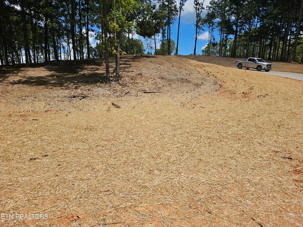 Photo of 132 Eagles Crest Court, Loudon, TN 37774 (MLS # 1338682)