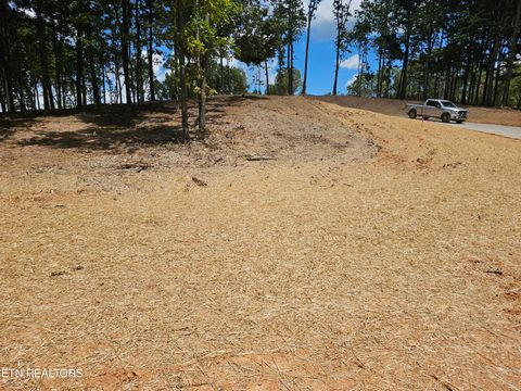 Tiny photo for 132 Eagles Crest Court, Loudon, TN 37774 (MLS # 1338682)