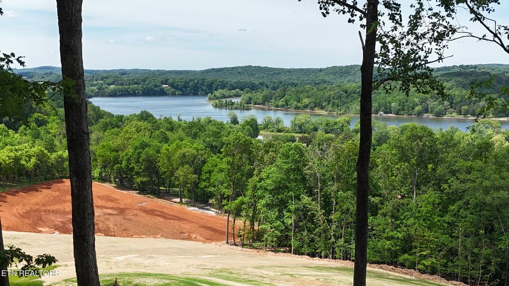 Photo of 132 Eagles Crest Court, Loudon, TN 37774 (MLS # 1338682)