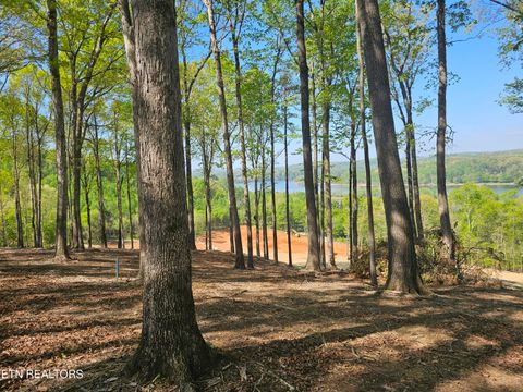 Tiny photo for 132 Eagles Crest Court, Loudon, TN 37774 (MLS # 1338682)