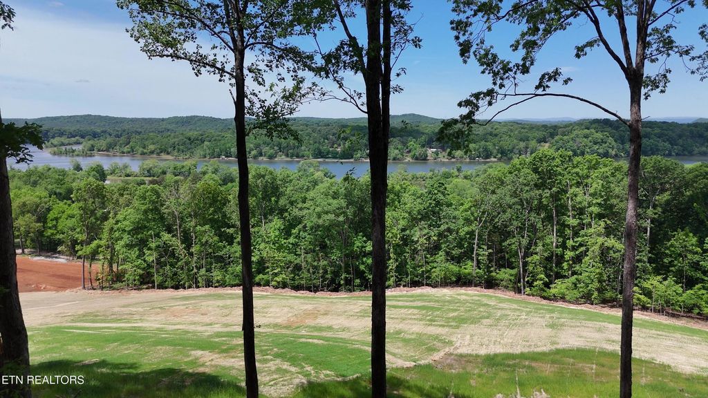 Photo of 132 Eagles Crest Court, Loudon, TN 37774 (MLS # 1338682)