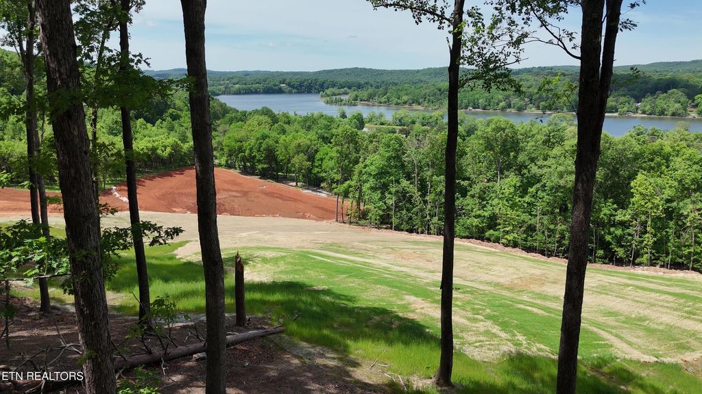 Photo of 132 Eagles Crest Court, Loudon, TN 37774 (MLS # 1338682)