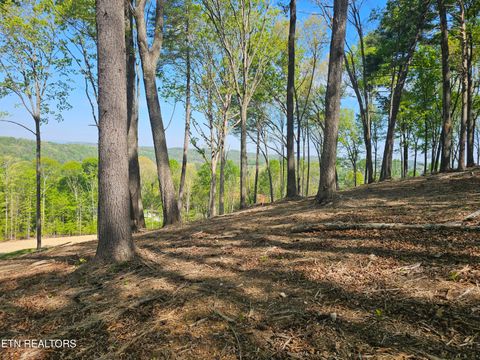 Tiny photo for 132 Eagles Crest Court, Loudon, TN 37774 (MLS # 1338682)