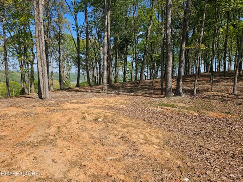 Tiny photo for 132 Eagles Crest Court, Loudon, TN 37774 (MLS # 1338682)