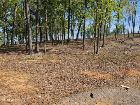 Tiny photo for 132 Eagles Crest Court, Loudon, TN 37774 (MLS # 1338682)