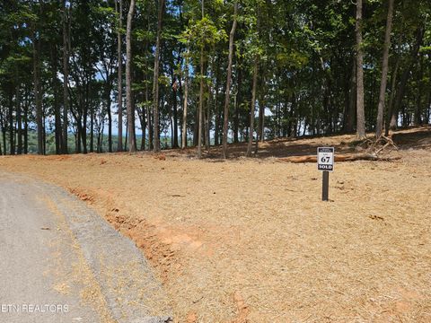Tiny photo for 132 Eagles Crest Court, Loudon, TN 37774 (MLS # 1338682)