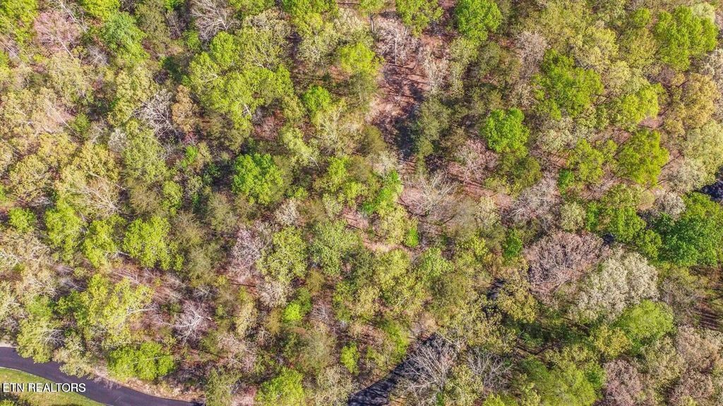 Photo of 200 Old Hood Landing Rd, Kingston, TN 37763 (MLS # 1288975)